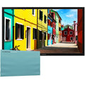 Furrion FDUP43CBS 43" Partial Sun 4K UHD Outdoor TV w/ Weatherproof TV Cover