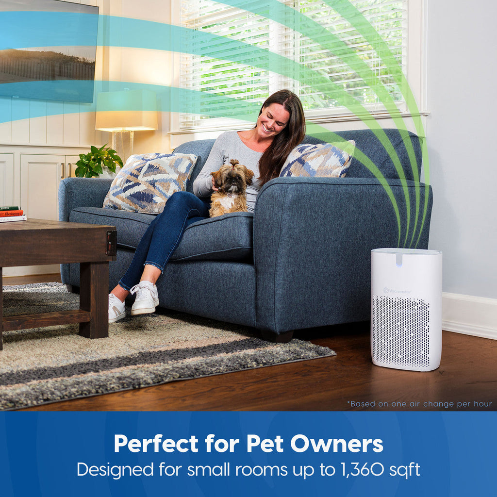 Vacmaster 1360a Series Air Purifier, AP272