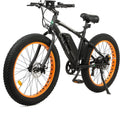 ECOTRIC Cheetah Electric Bike 26" X 4" Fat Tire Bicycle 500W 36V 12.5AH Battery Ebike Beach